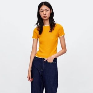 Sweater with contrasting trim